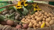 Kärntner Heimatherbst 2012 - Karnisches Kartoffelfest