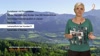 Kärnten TV Magazin KW24/2014-Leinenpflicht